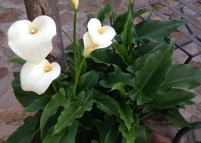 Rural Matilde 3* Malpartida de Cáceres